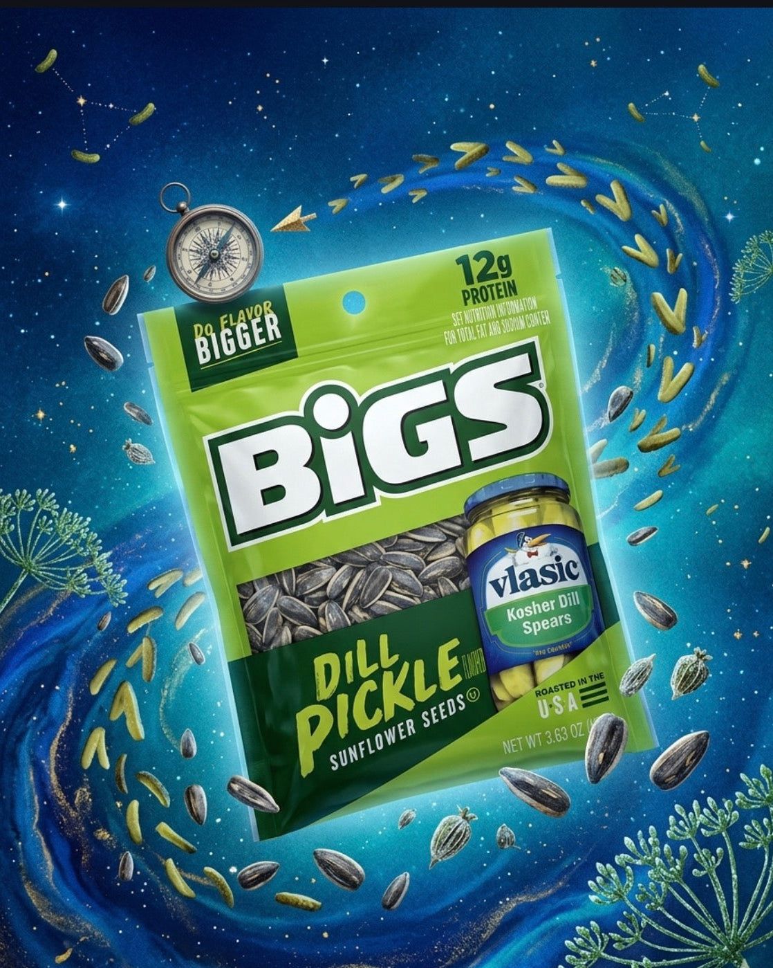 BIGS Vlasic Dill Pickle Sunflower Seeds